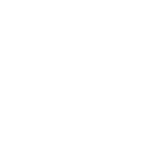 HydraAI Logo
